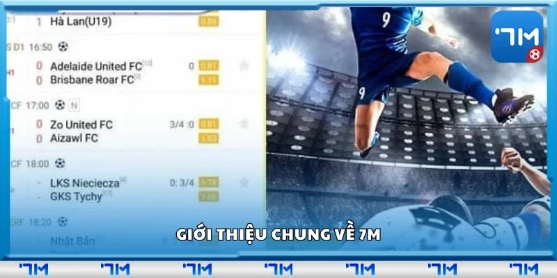 Các loại cược phổ biến tại 7m