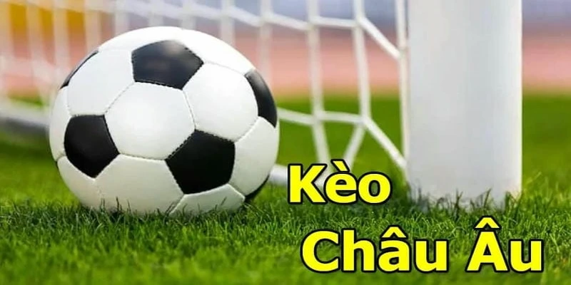 Cách đọc và phân tích kèo châu âu trên 7m