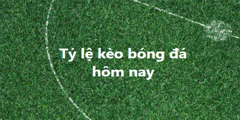 Cách đọc và phân tích tỷ lệ kèo nhà cái 7m