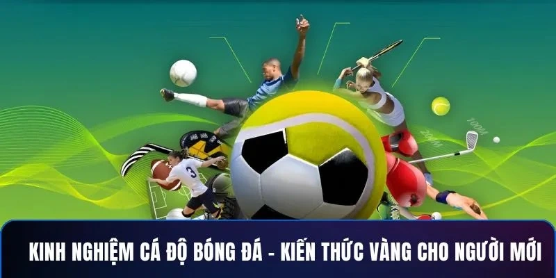Giới thiệu về 7m và các trò chơi phổ biến