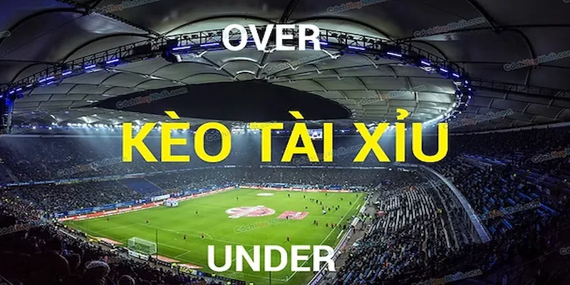 Giới thiệu về kèo tài xỉu tại 7m