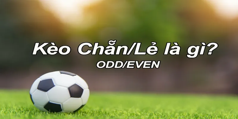 Kèo chẵn lẻ là gì và nguyên lý hoạt động