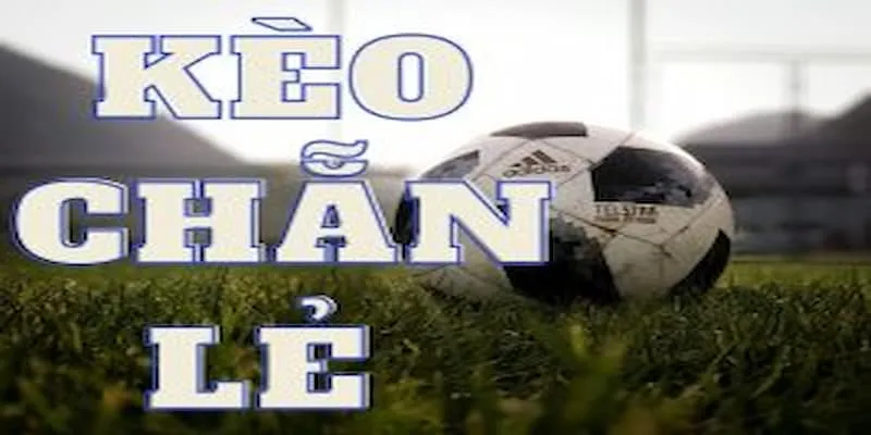 Quản lý rủi ro khi cược kèo chẵn lẻ